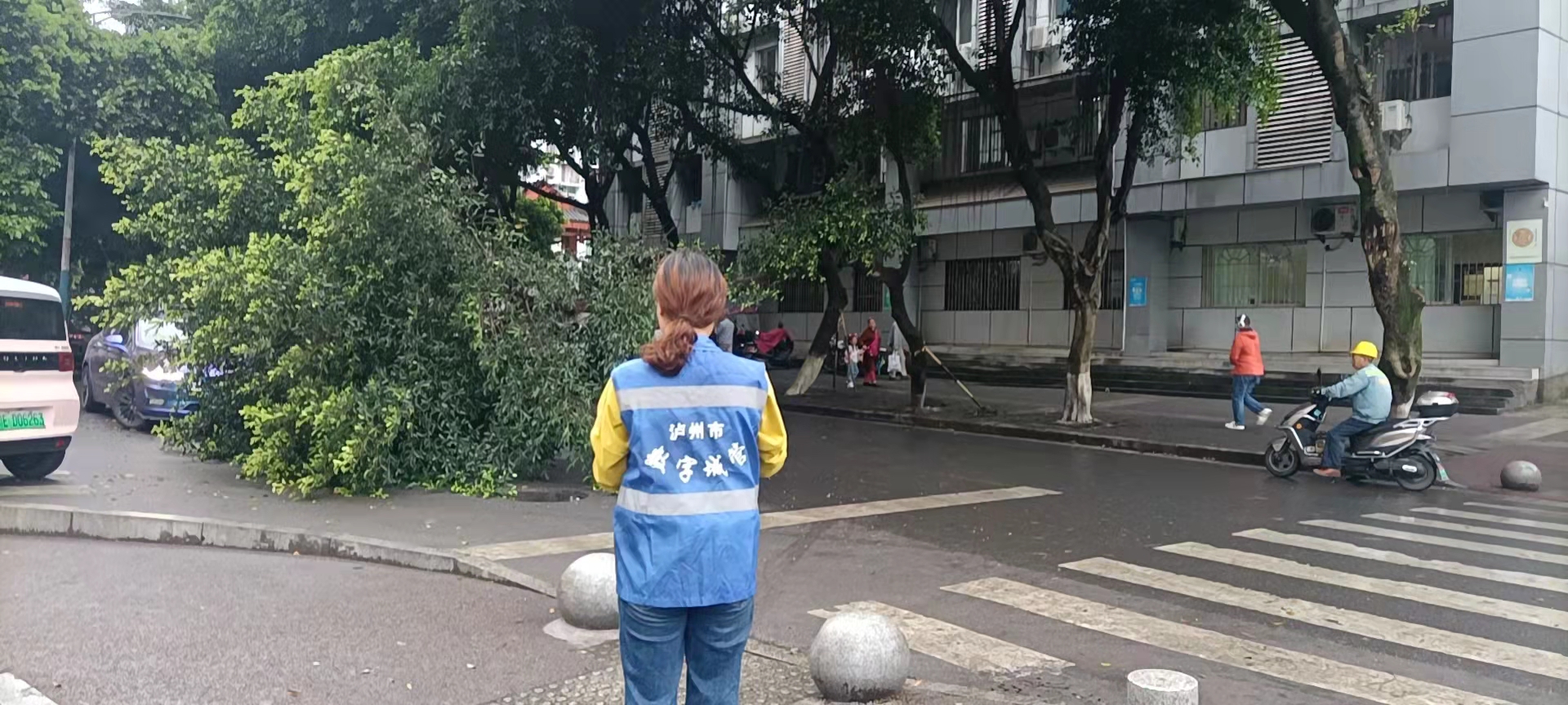 堅持雨后精準采集，共護市民出行安全