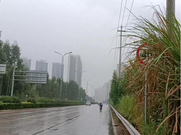 全力以赴戰寒潮，姜汁湯圓暖人心